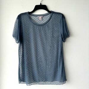 Victoria’s Secret Top Sheer Swiss Dot Blue Short Sleeve Womens L Fairy Romantic